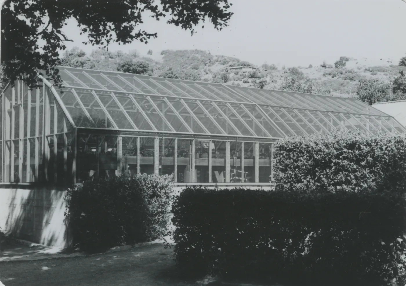 Greenhouse