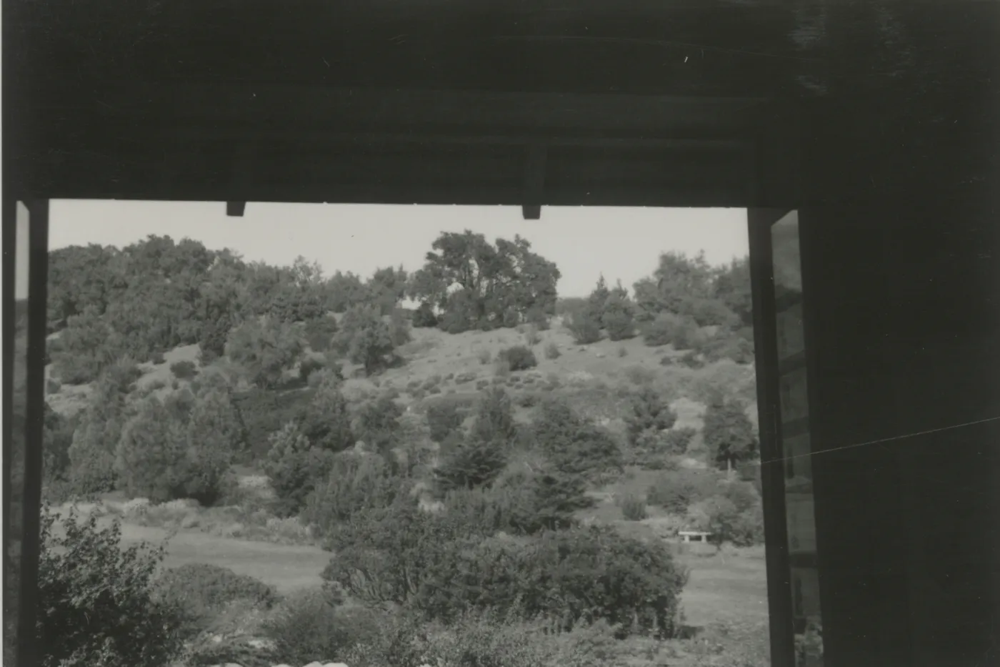 View of Meadow from Information Kiosk