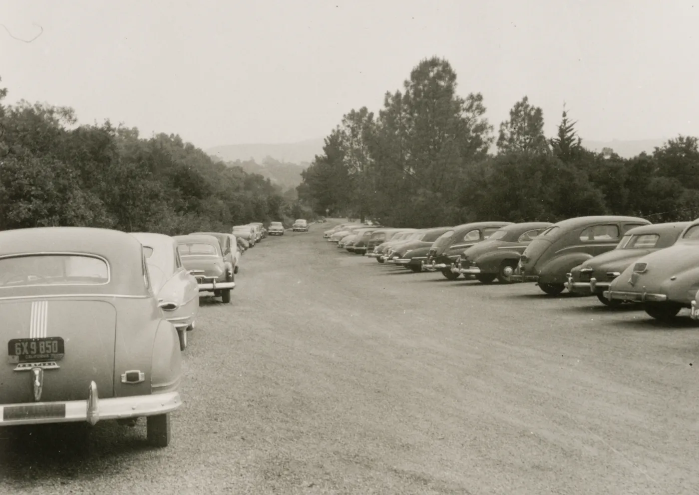 SBBG Parking Lot, 1950's