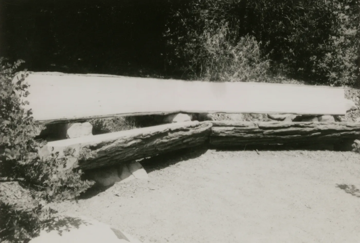 wood bench in Meadow View garden