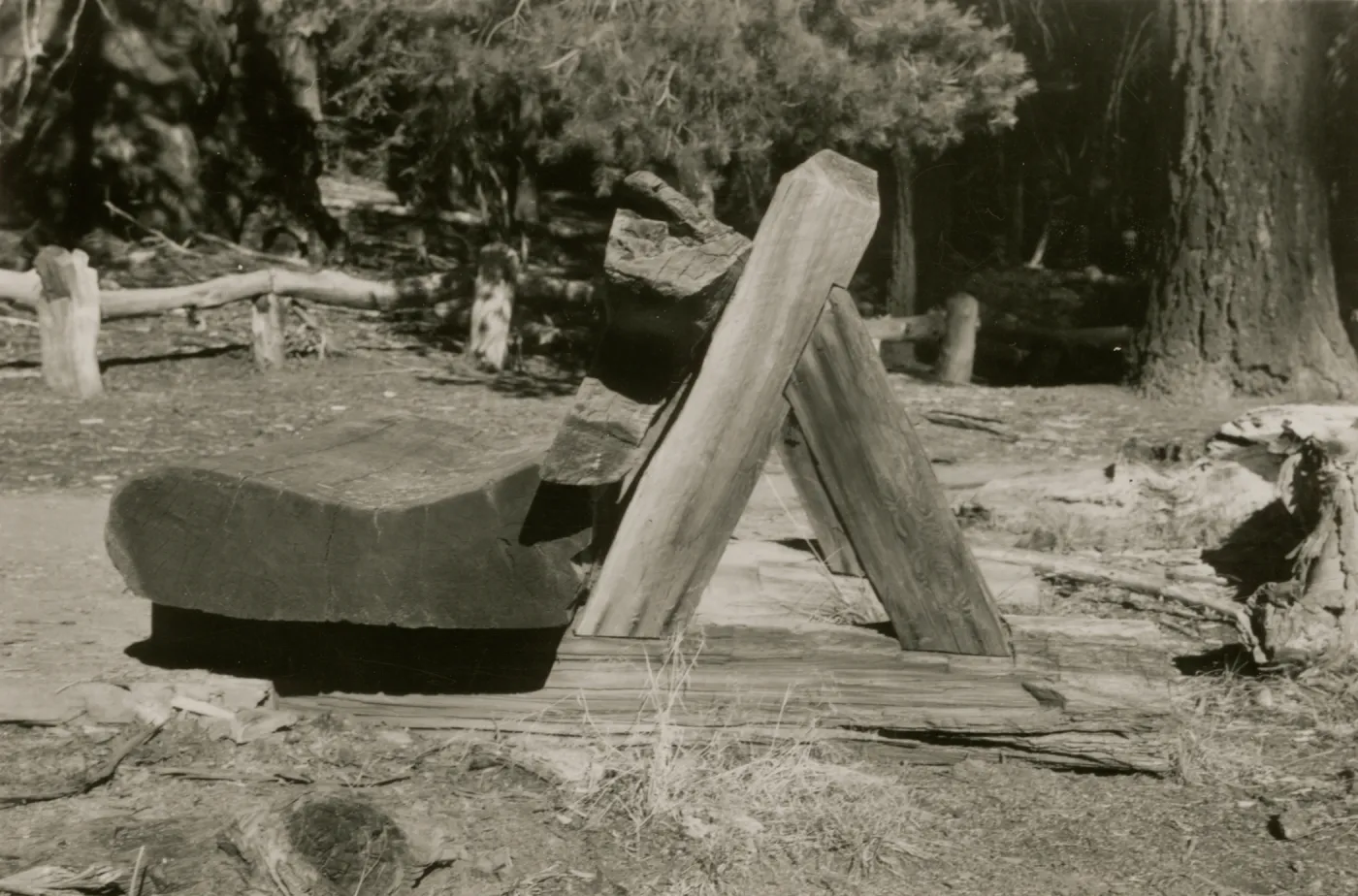redwood bench prototype, Yosemite