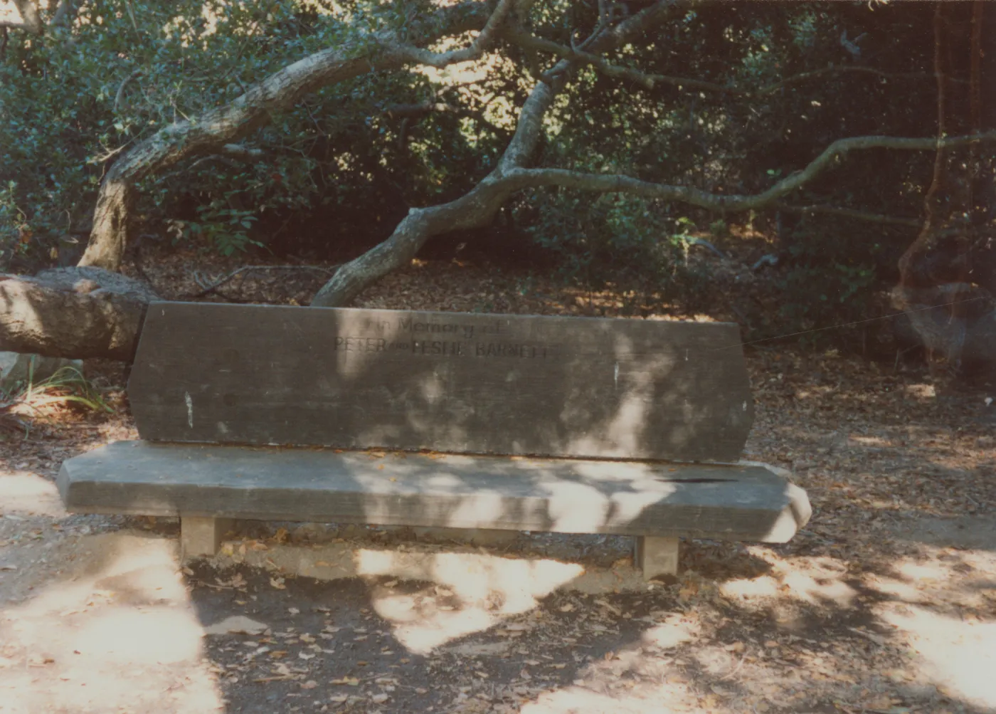 Peter and Leslie Barnett Bench, 1972
