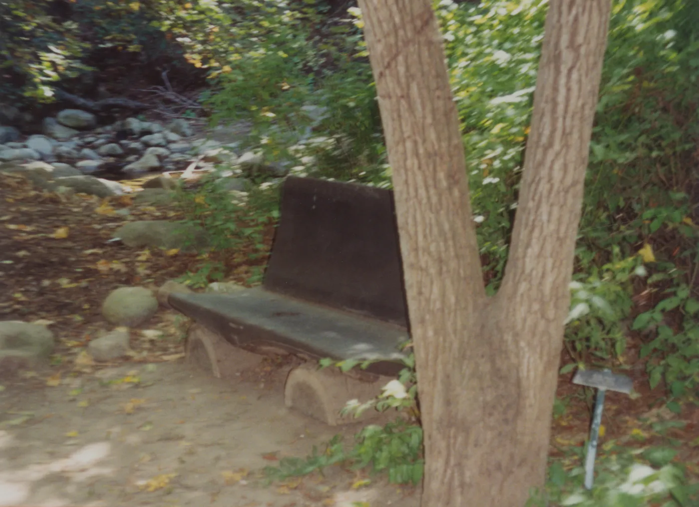 Ethel C. Bliss Bench, 1979, Redwood Section (removed)