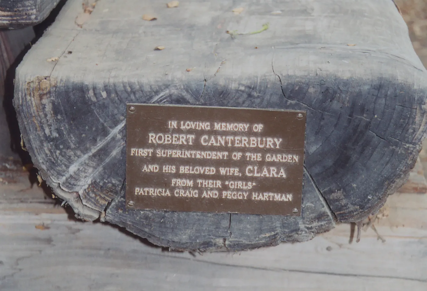 Robert and Clara Canterbury Bench, 1998, Meadow
