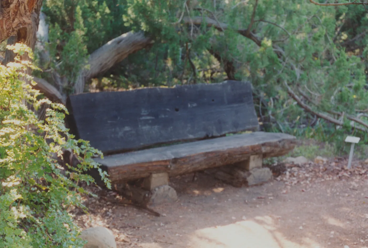 Preston and Janice Cloud Bench, 1990, Meadow