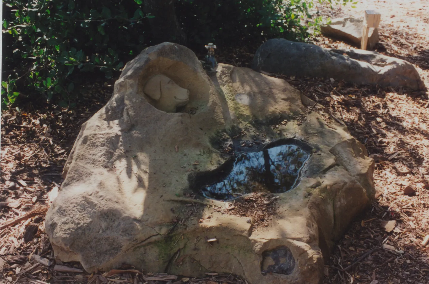 dog fountain, dog water basin, Meadow Oaks