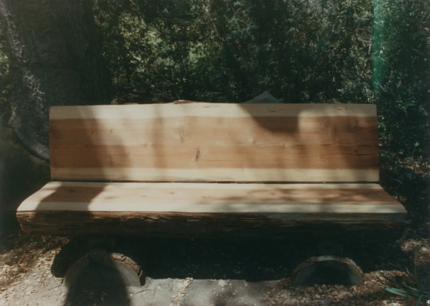 Sydney G. Gest Bench, 1986