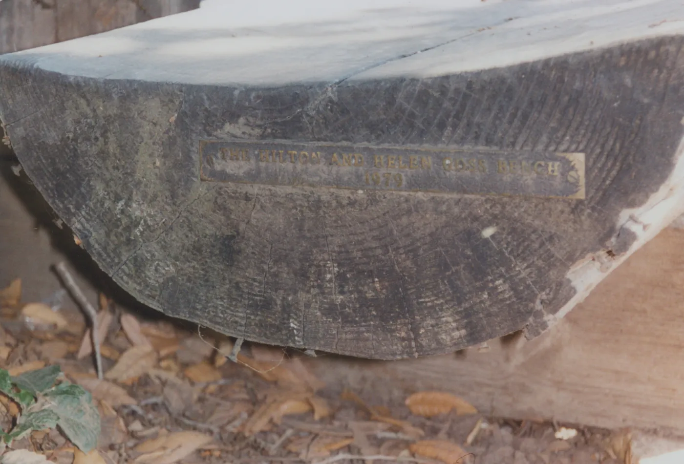 Hilton and Helen Goss Bench, 1979