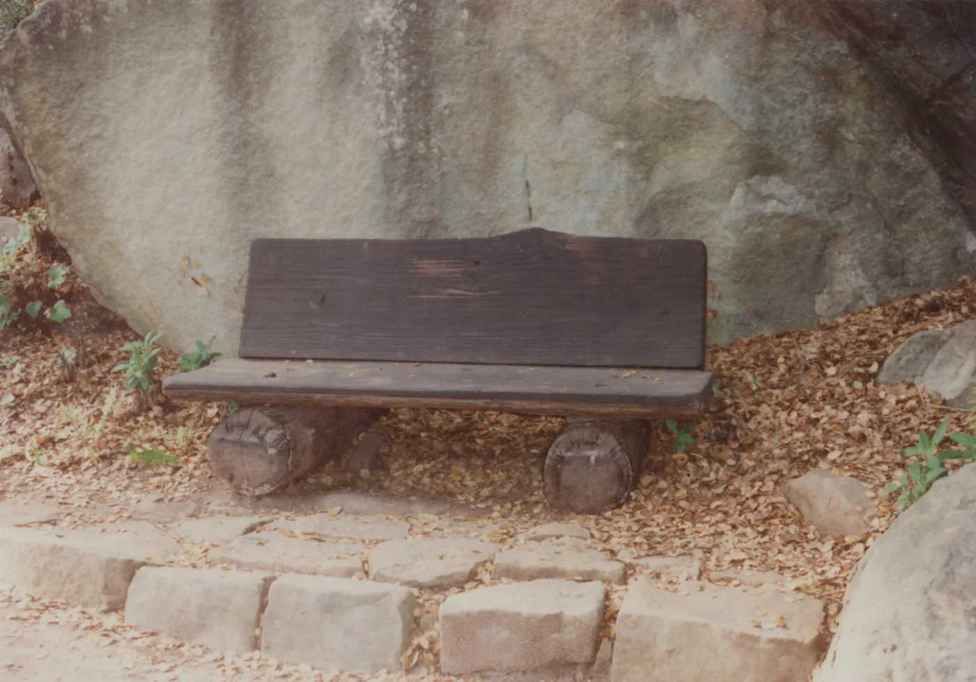Irving and Mildred Haim Bench, 1979 (replaced in 1994, shared with Perkins)
