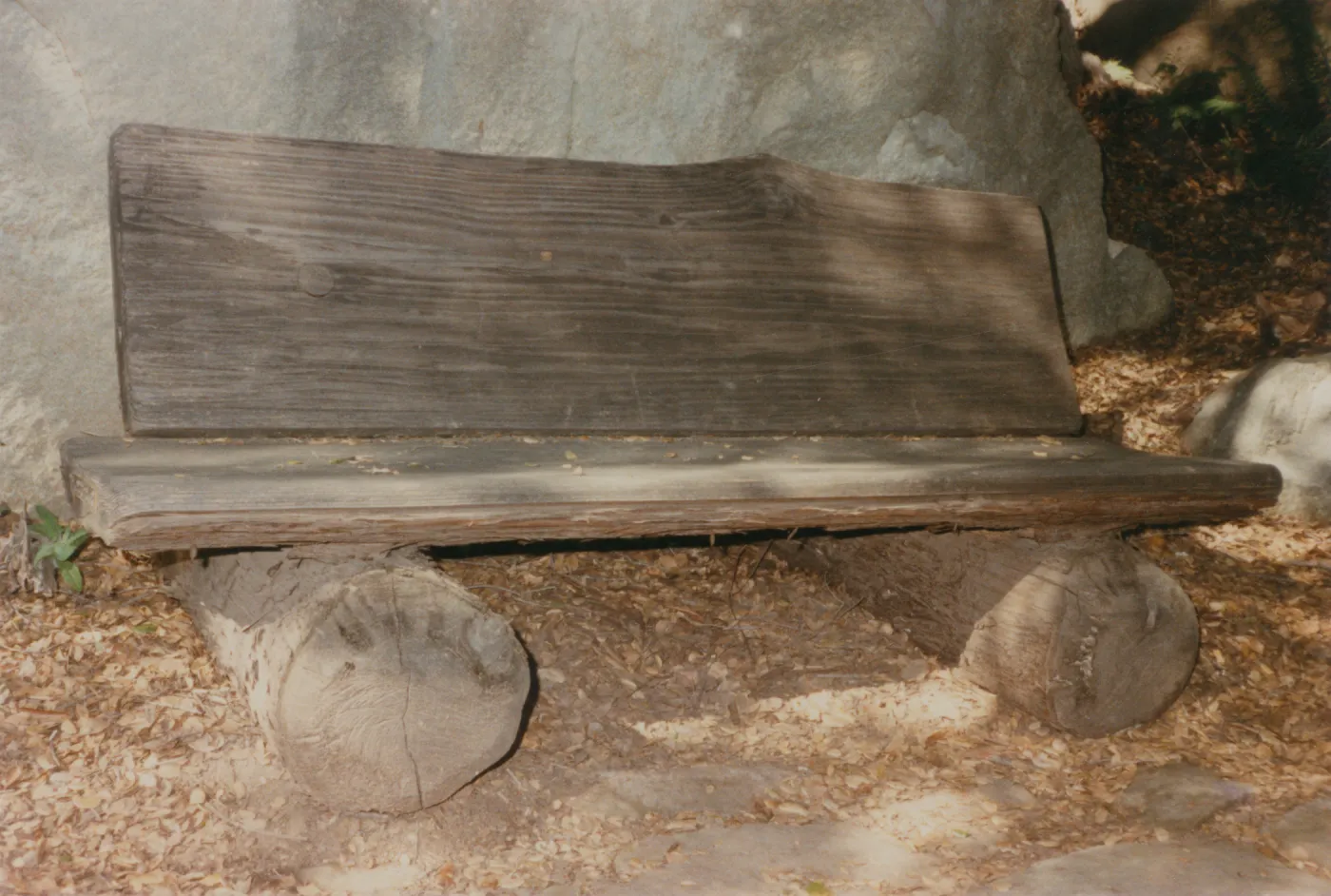 Irving and Mildred Haim Bench, 1979 (replaced in 1994, shared with Perkins)