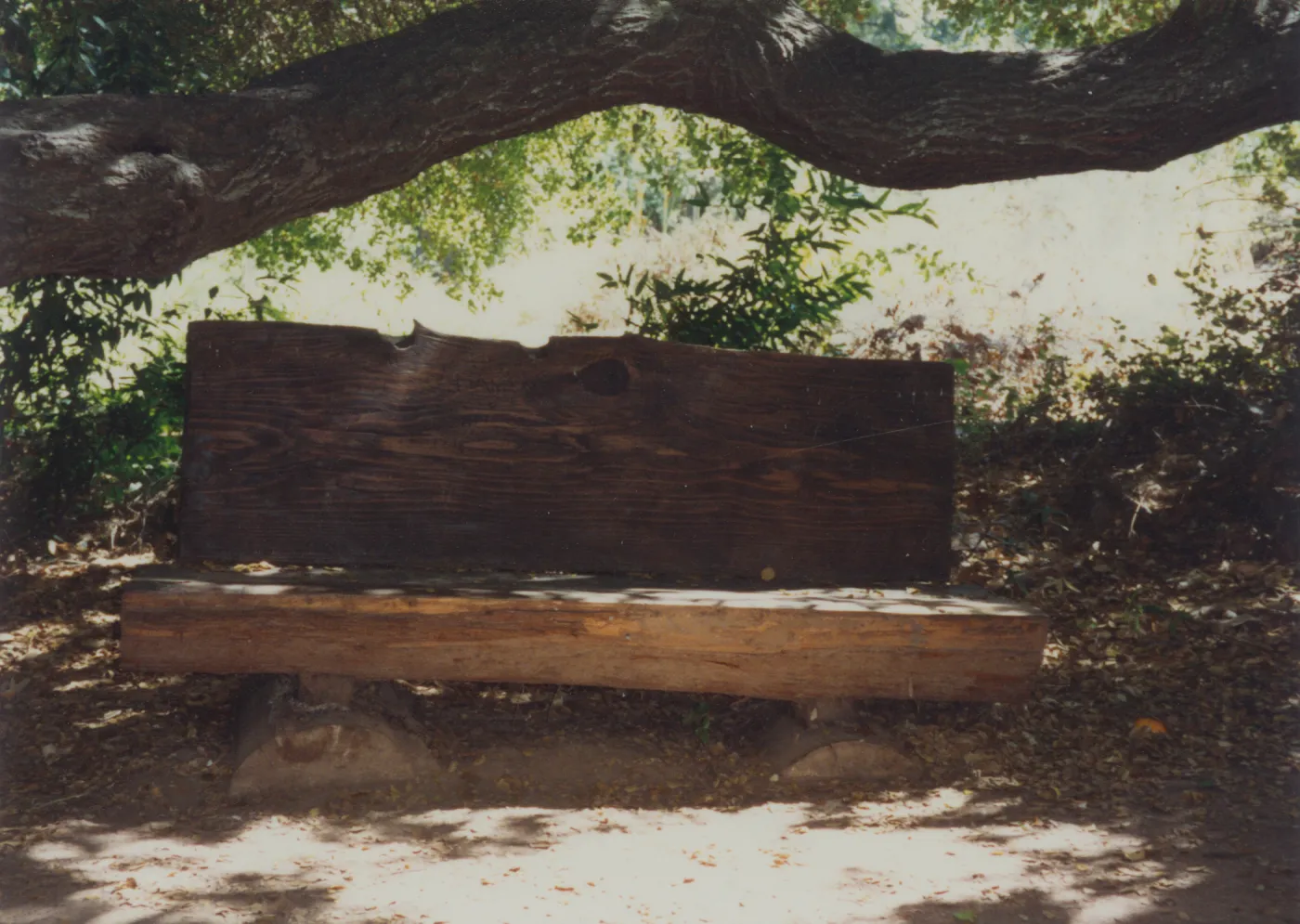 Ellen Hansen Bench, 1982