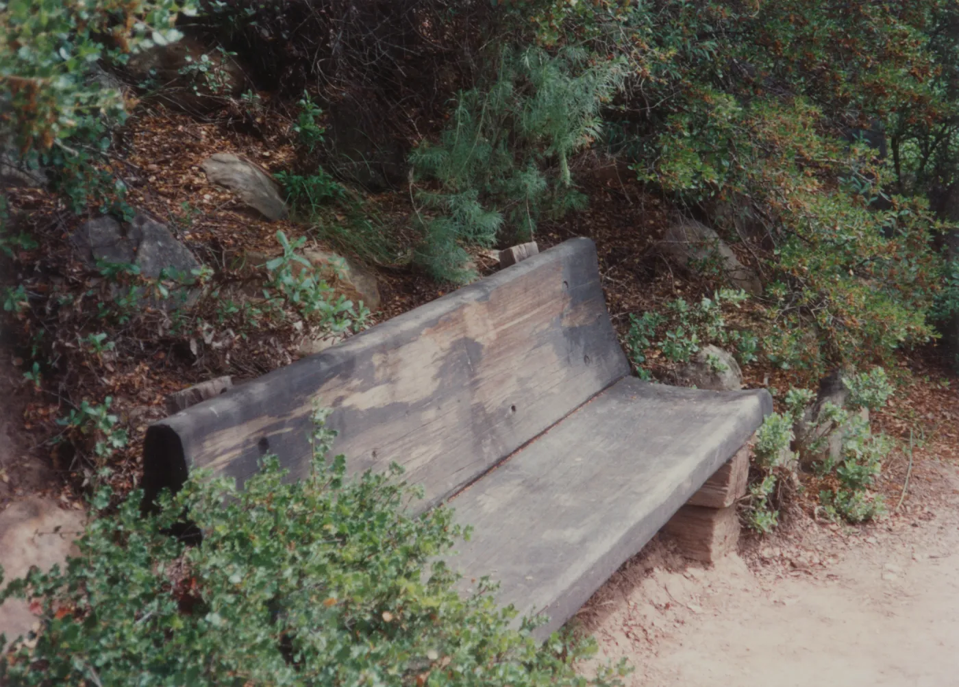 Pam's Bench, Pamela Adele Hooper Bench, 1985