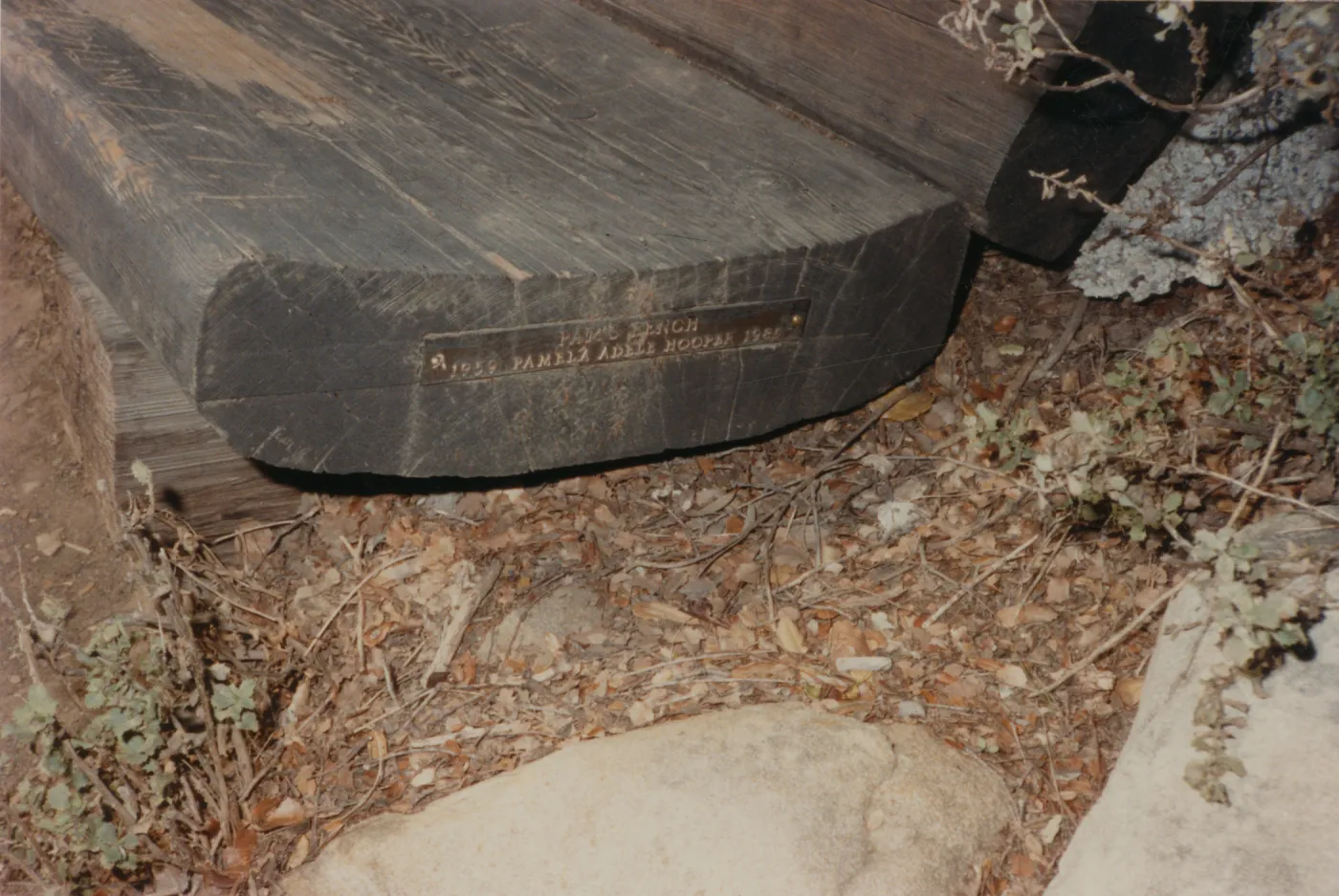 Pam's Bench, Pamela Adele Hooper, 1985