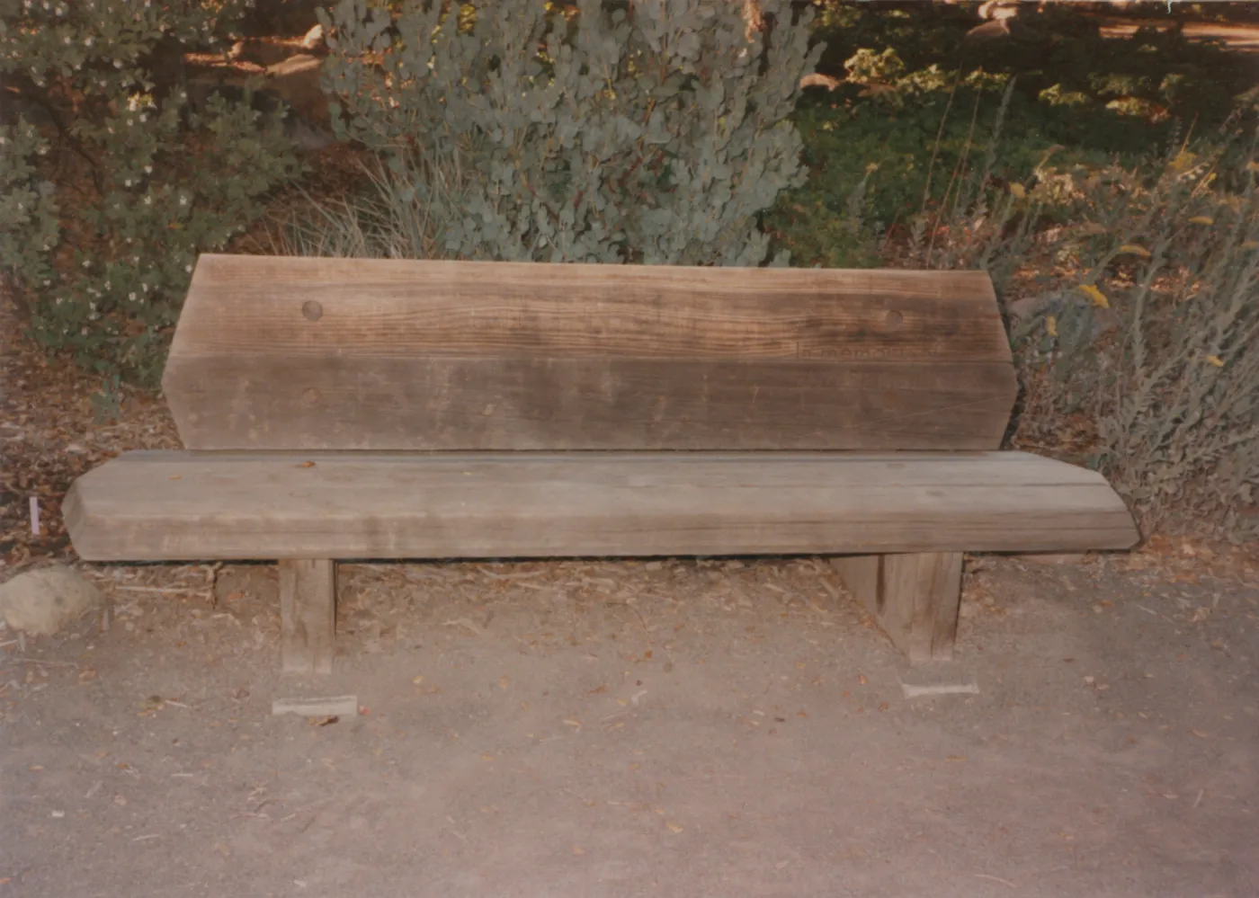 Elizabeth Howland Bench, 1973, Meadow