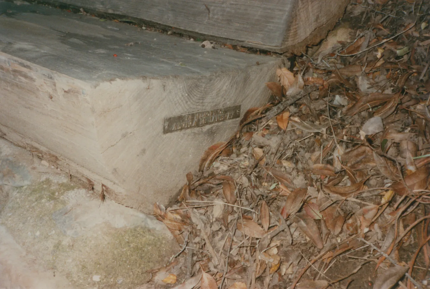 Alvira M. Janeway Bench, 1985, Pritchett Trail