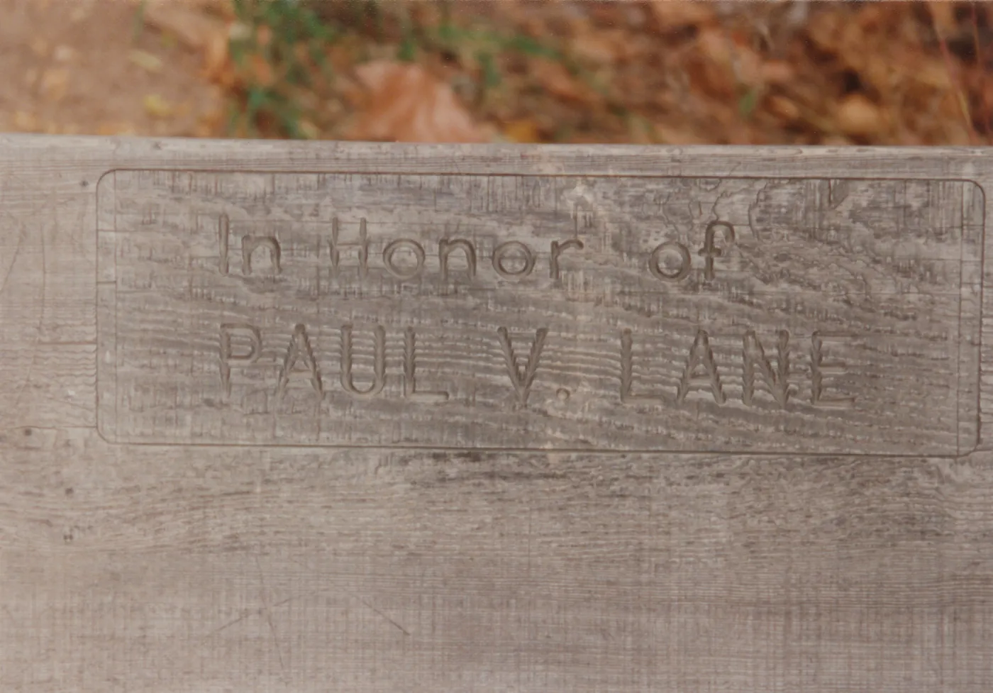 Paul V. Lane Bench, 1972