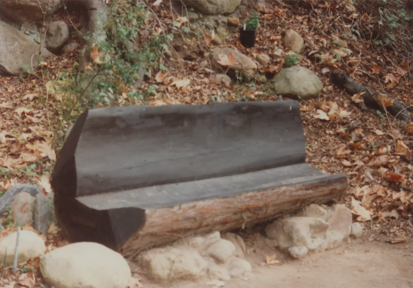Fred and Lucie Levy Bench, at old site in Redwood Section