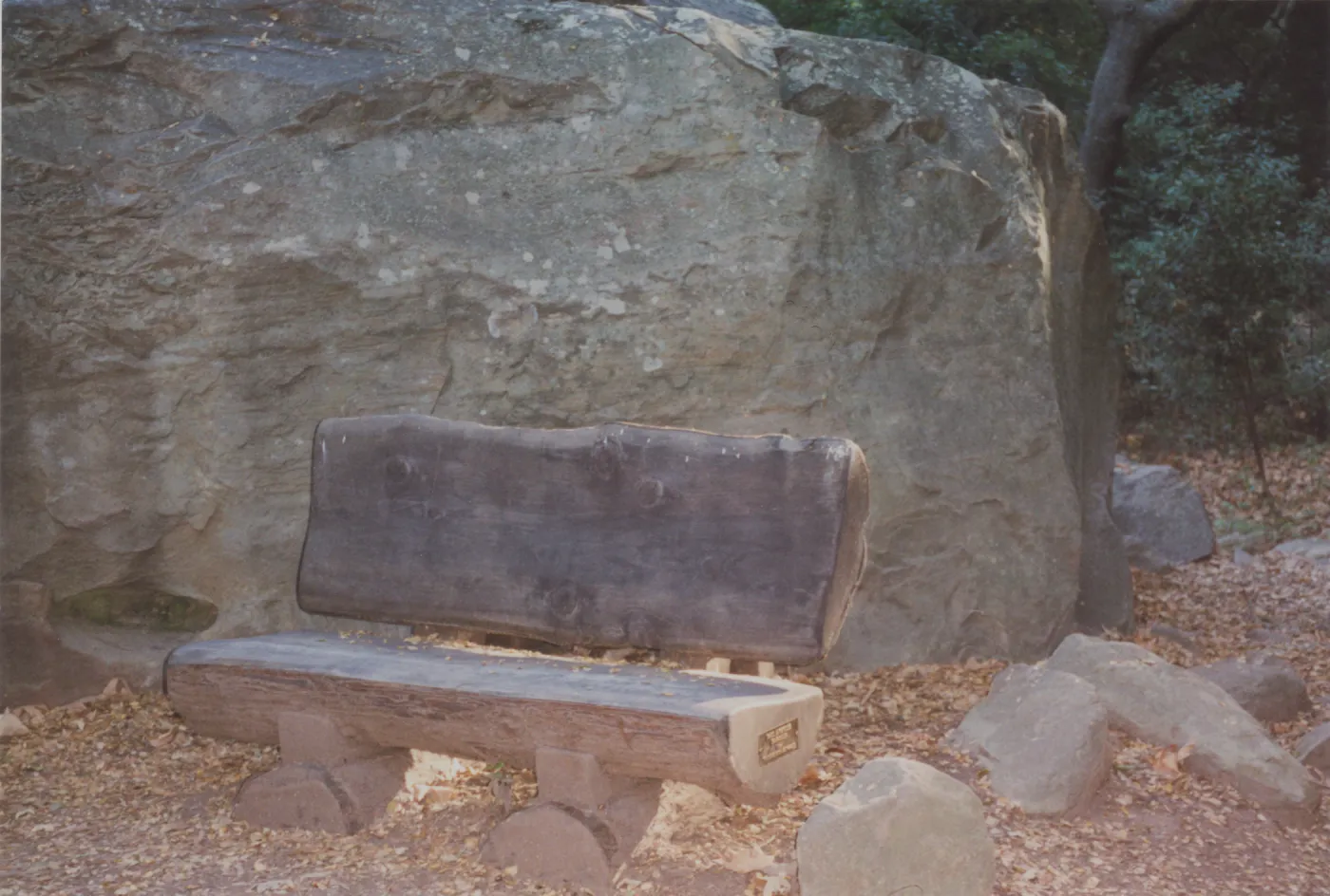 Paul & Phyllis Margolis Bench, 1995