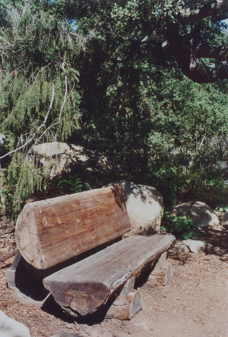 James F. Mastoris Bench, 1996, Manzanita Section