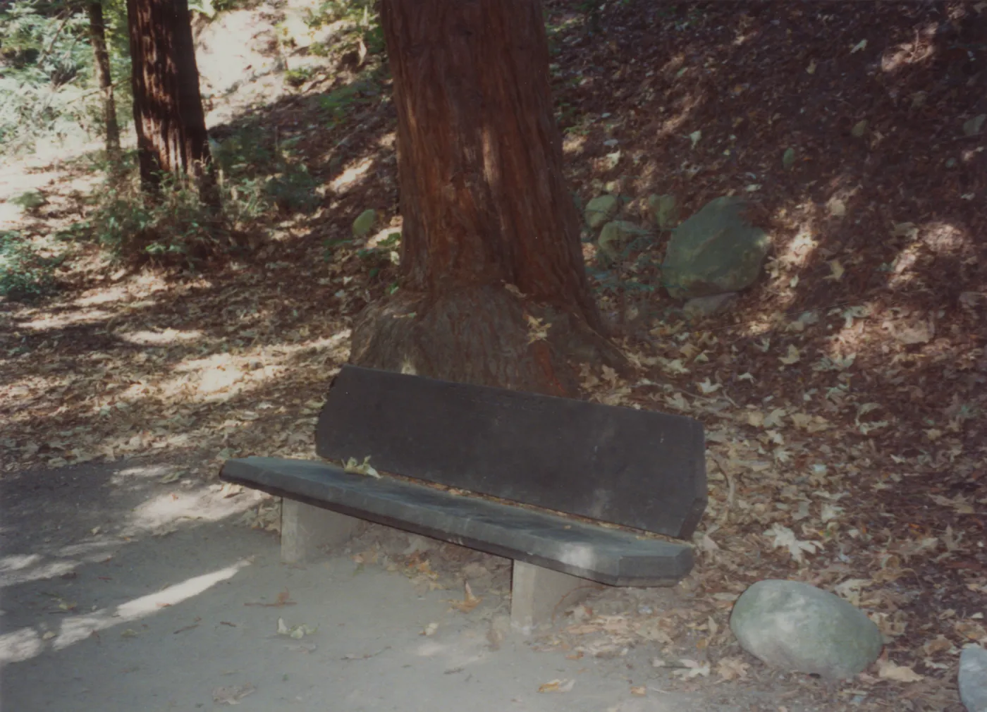 The Louise Nobs Bench, 1972