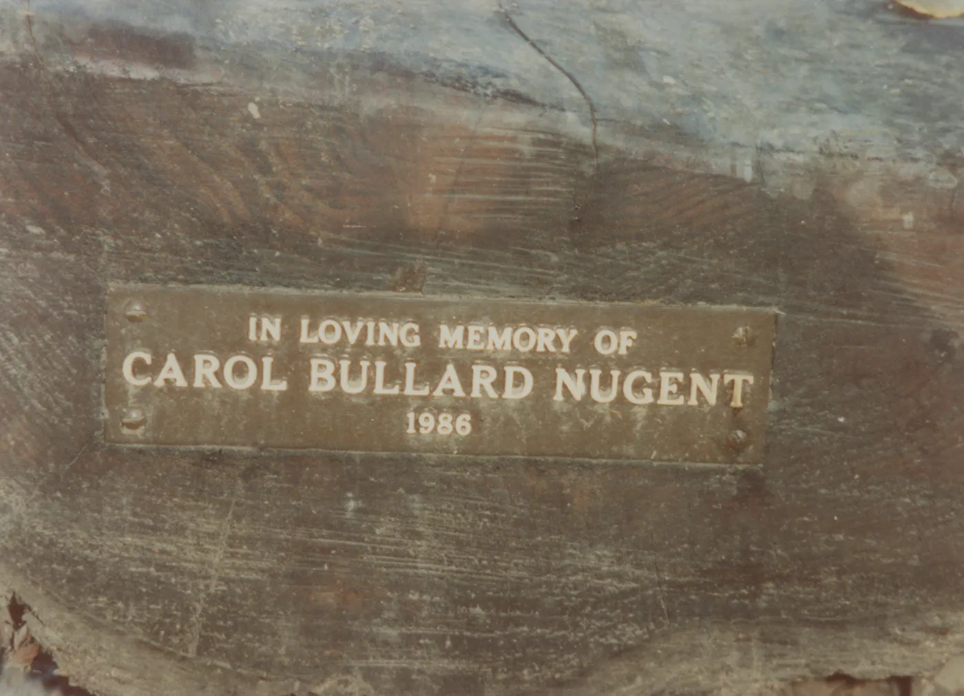 Carol Bullard Nugent Bench, 1986, near Blaksley Boulder