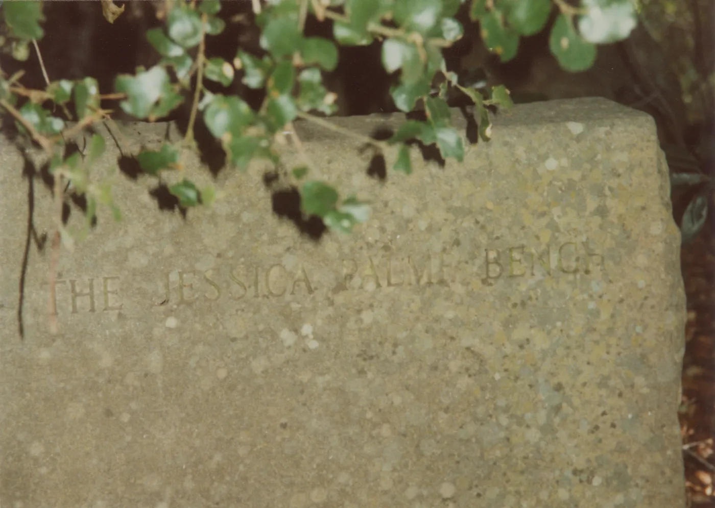 Jessica Palme Bench, 1967, stone bench under the Meadow Oaks