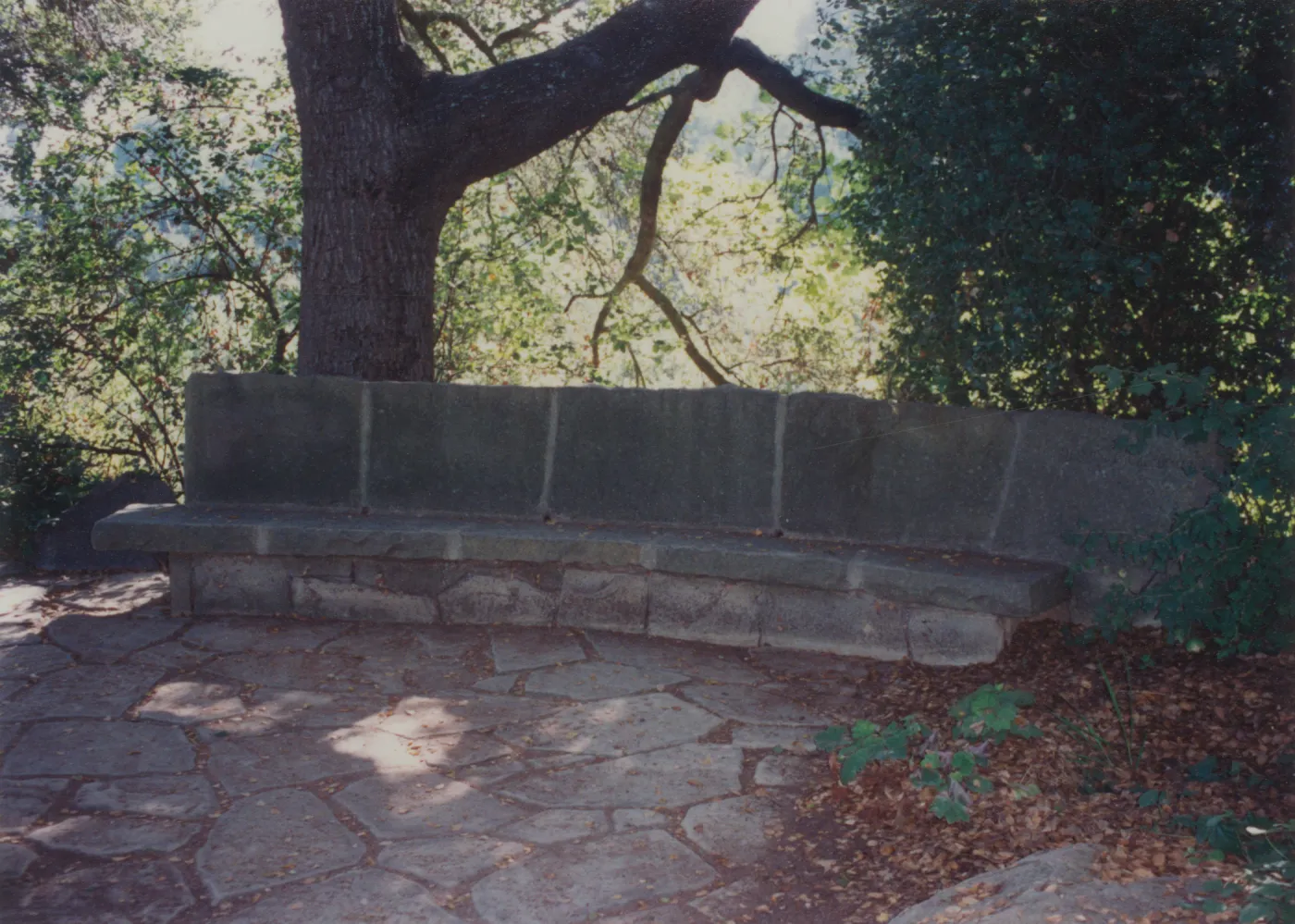 Jessica Palme Bench, 1967, stone bench under the Meadow Oaks