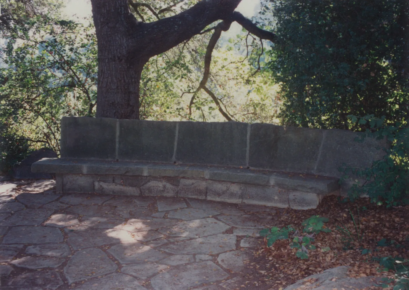 Jessica Palme Bench, 1967, stone bench under the Meadow Oaks