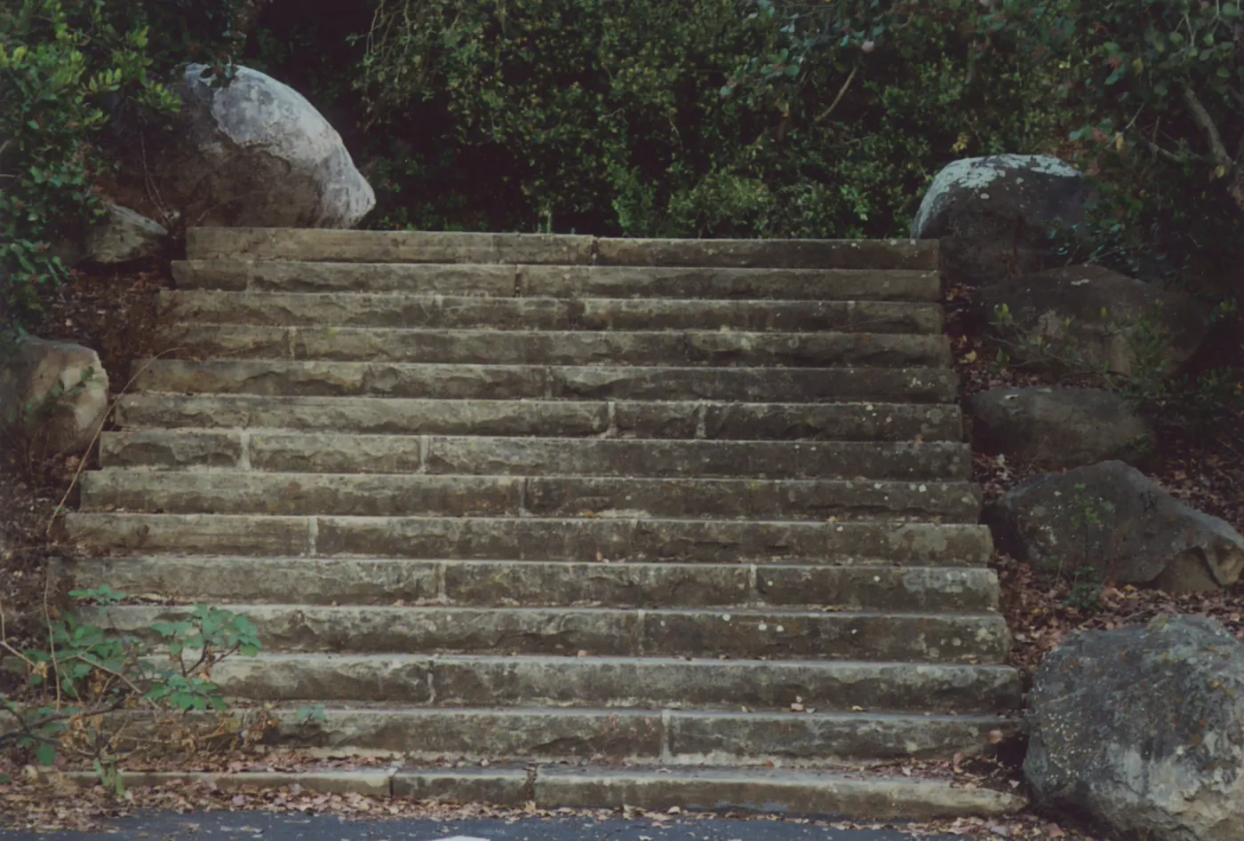 upper steps, Clara Small Smith Entrance Steps, 1946