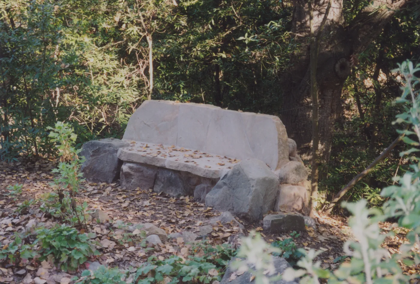 Evelyn Studebaker Bench, 2001, Island Section