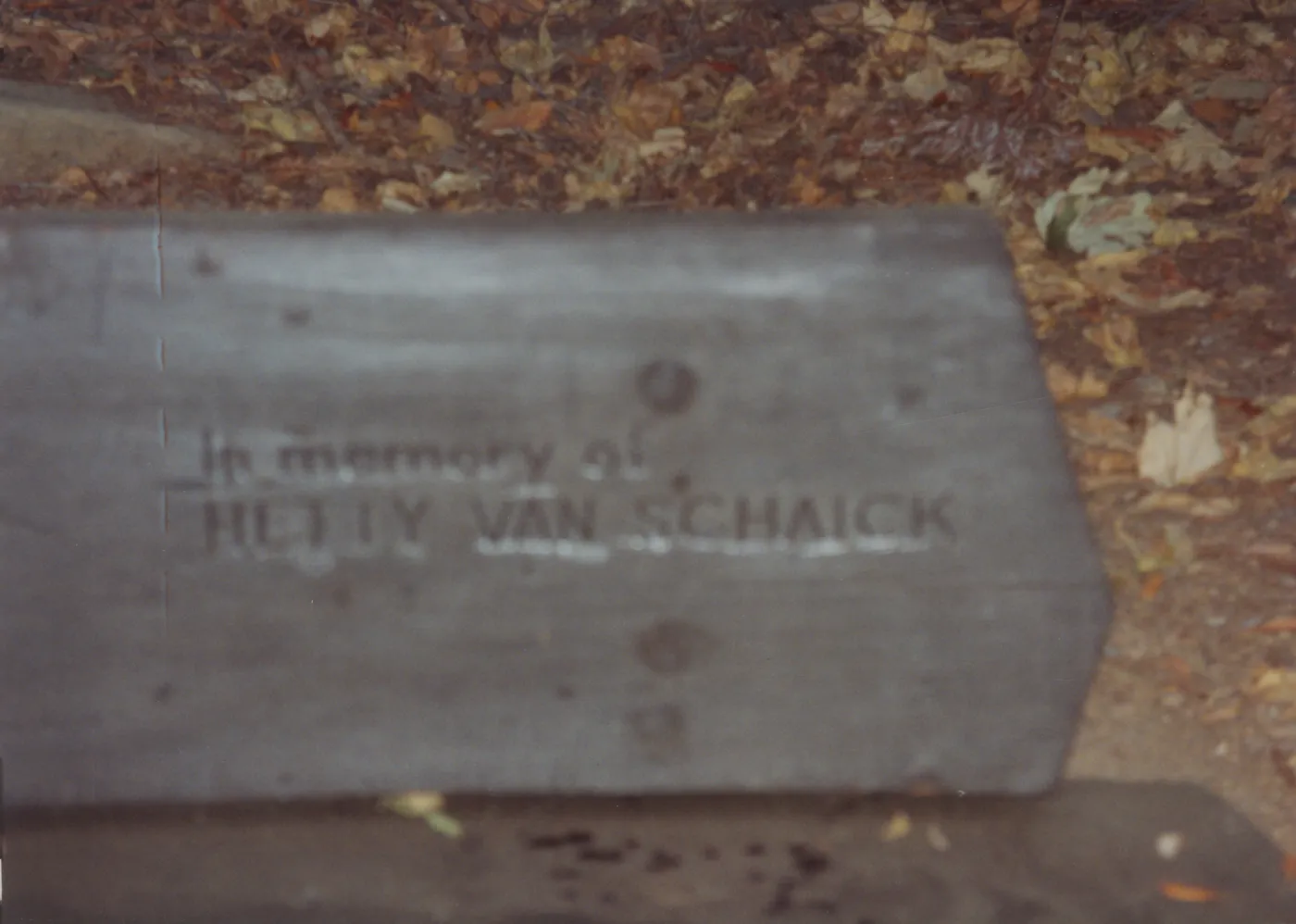 Hetty Van Schaick Bench, 1970, Redwood Section