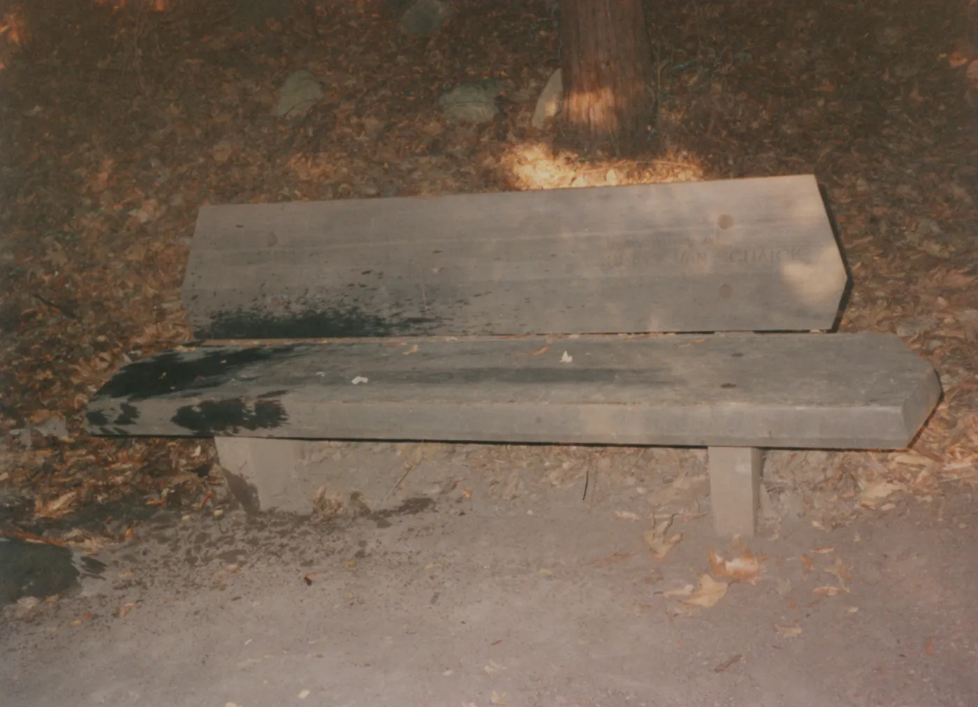 Hetty Van Schaick Bench, 1970, Redwood Section