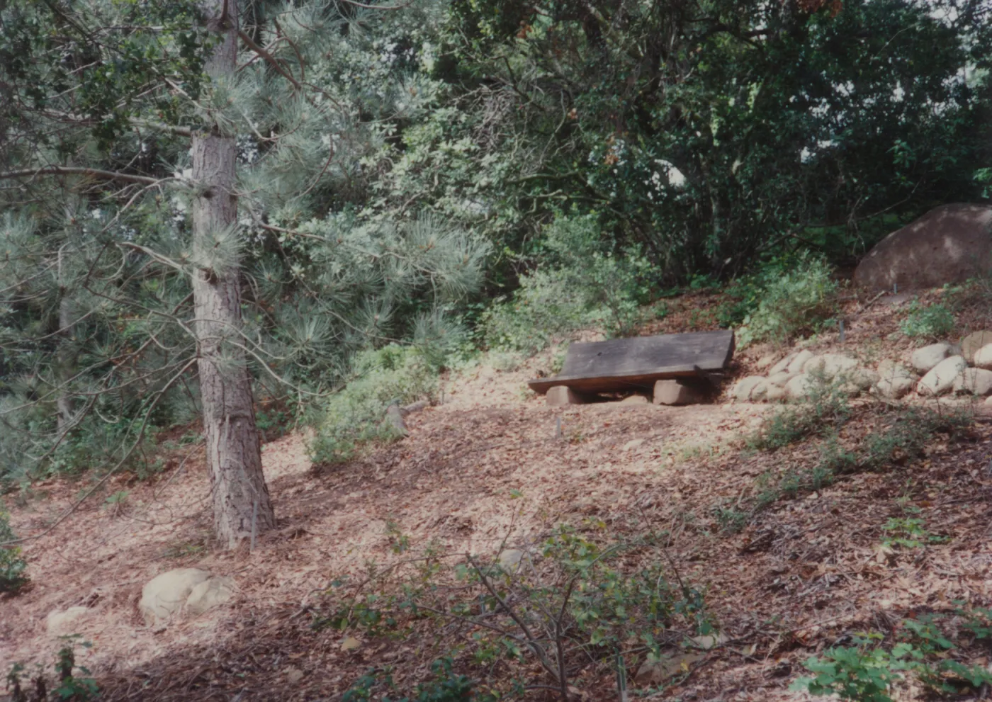 Boris D. Vishanoff Bench, 1980