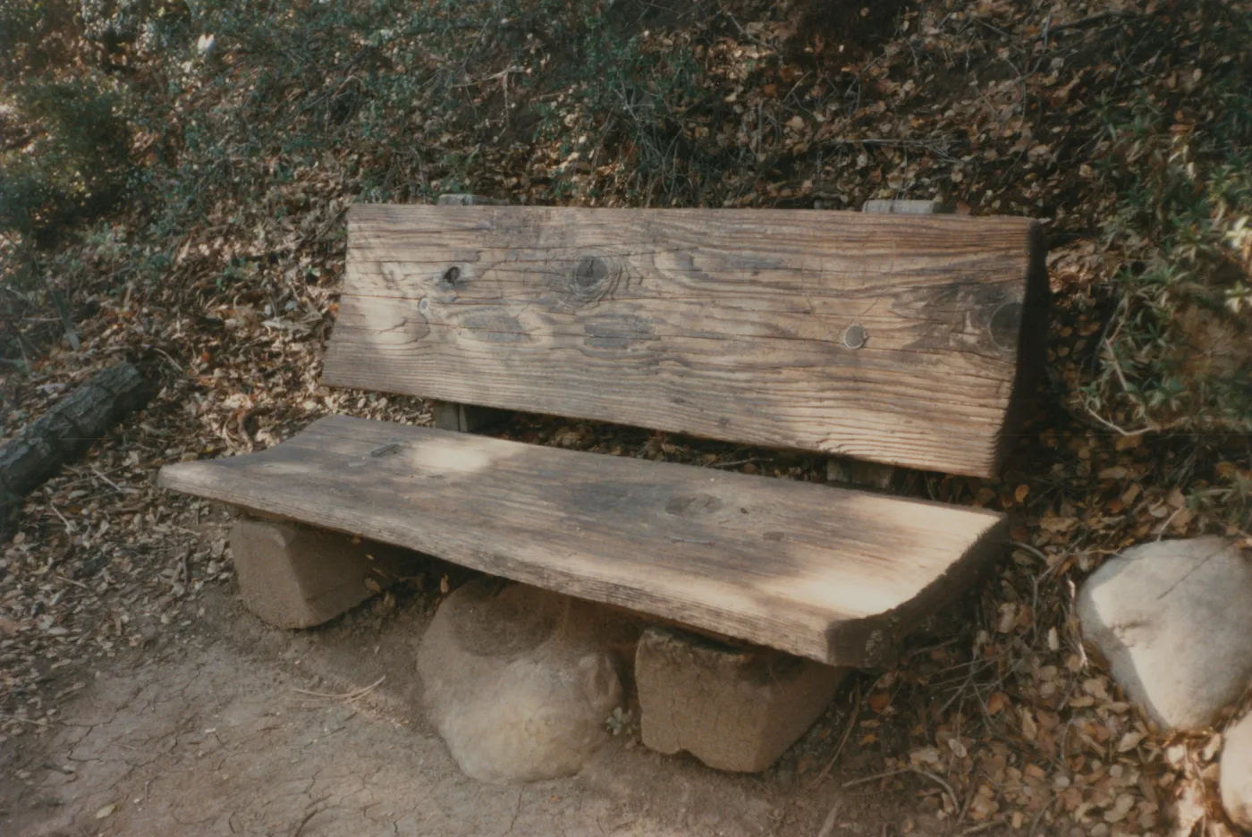 Boris D. Vishanoff Bench, 1980