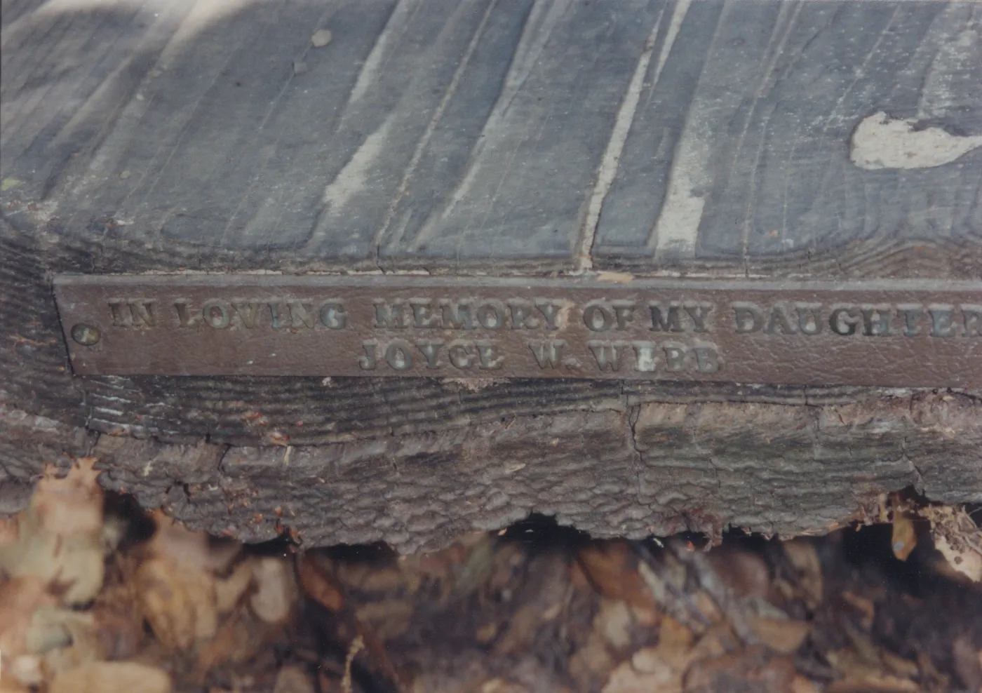 Joyce W. Webb Bench, 1979 (removed)