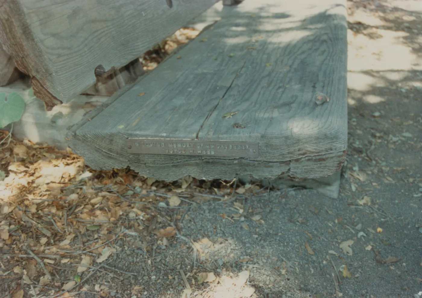 Joyce W. Webb Bench, 1979 (removed)
