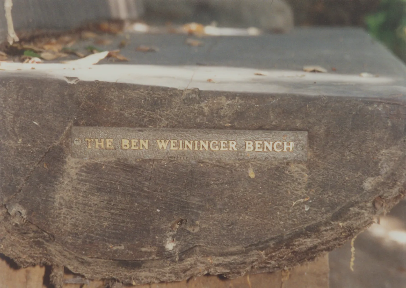 Ben Weininger Bench, 1988, Manzanita Section