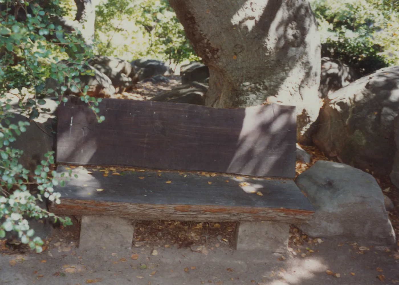 Ben Weininger Bench, 1988, Manzanita Section