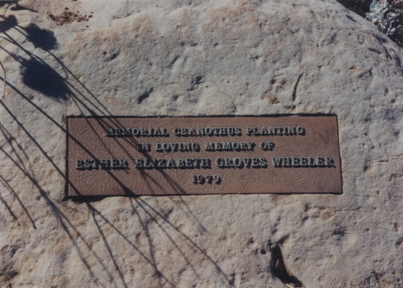 Esther Elizabeth Groves Wheeler Plaque, 1979, Porter Trail