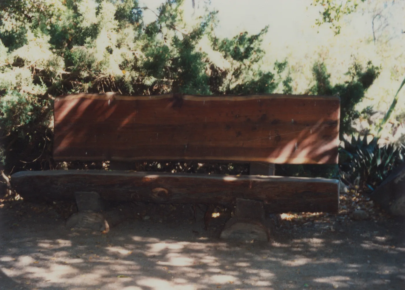 Dick Williams Bench, 1992, Meadow