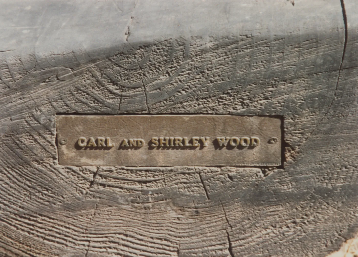 Carl and Shirley Wood Bench, 1988, Meadow
