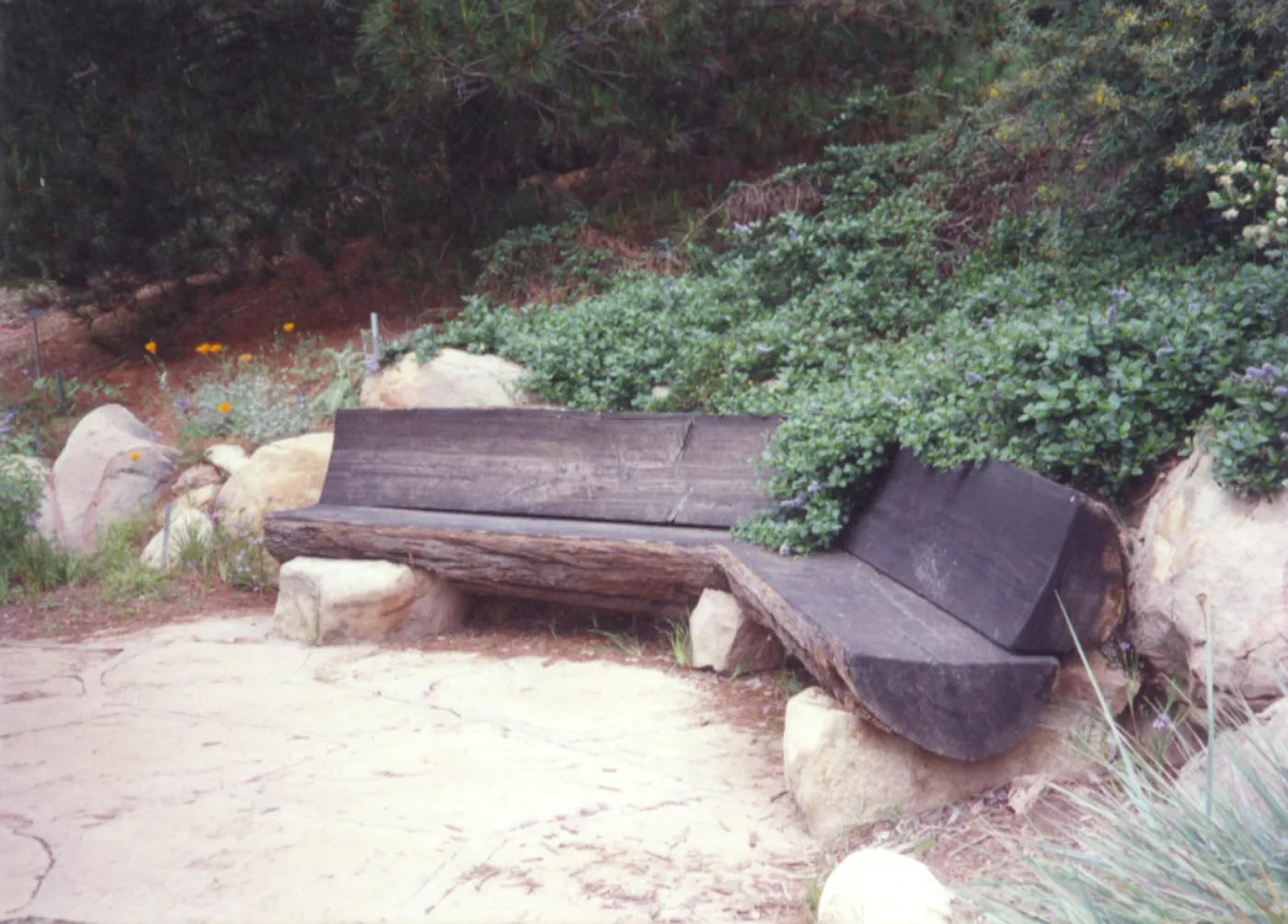Old wood bench on Porter Trail (replaced by Dabney stone bench)