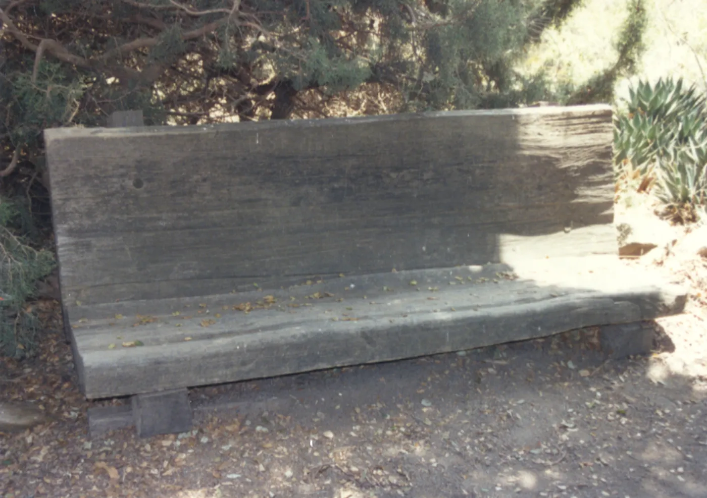 Wood bench between Kiosk and Desert Section (replaced by Williams Bench)