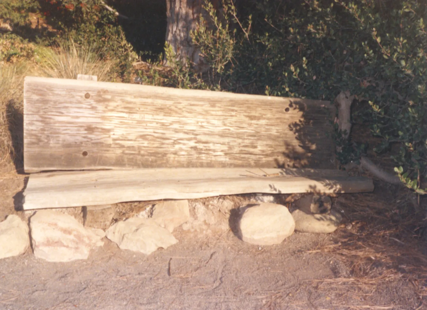 old wood bench at east side of Meadow by Weindling Birdbath (replaced by Wood Bench and Beaver Bench)