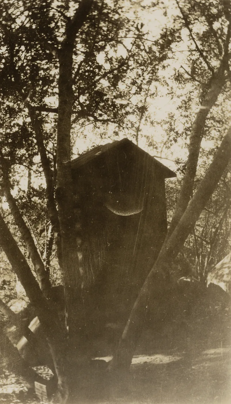 old Library book cabinet, SBBG, circa 1933, 1930s