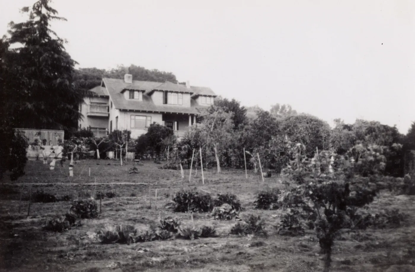 Photos from Ethel George Lyons of George house and family