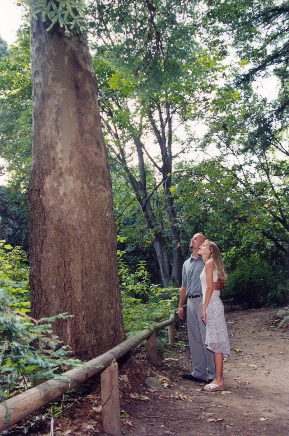 Visitors in Garden, engagement photo outtakes
