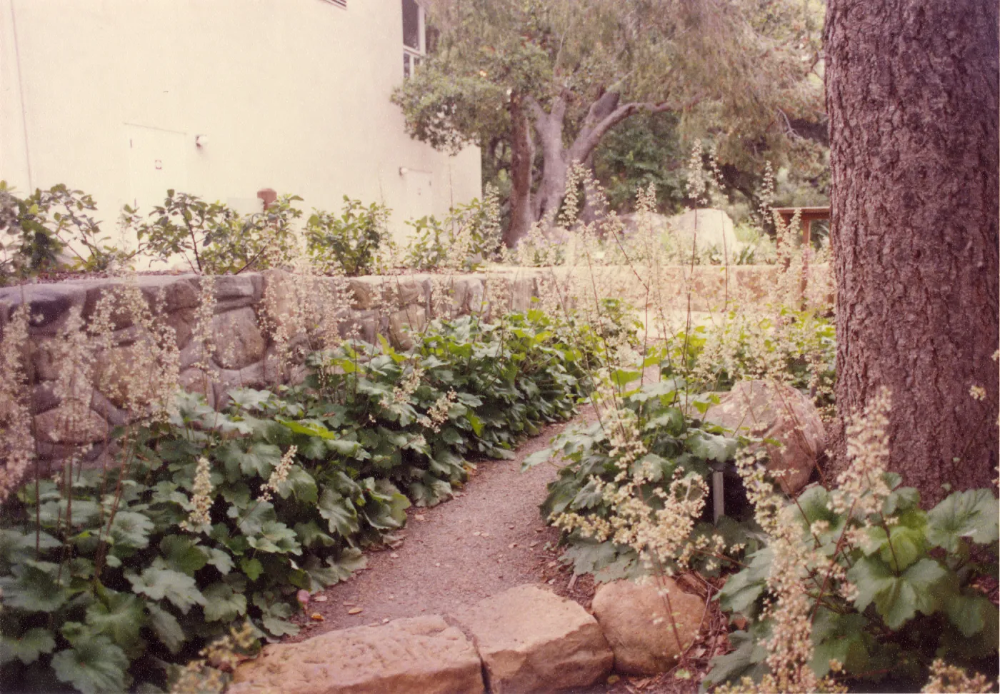 Home Demonstration Garden