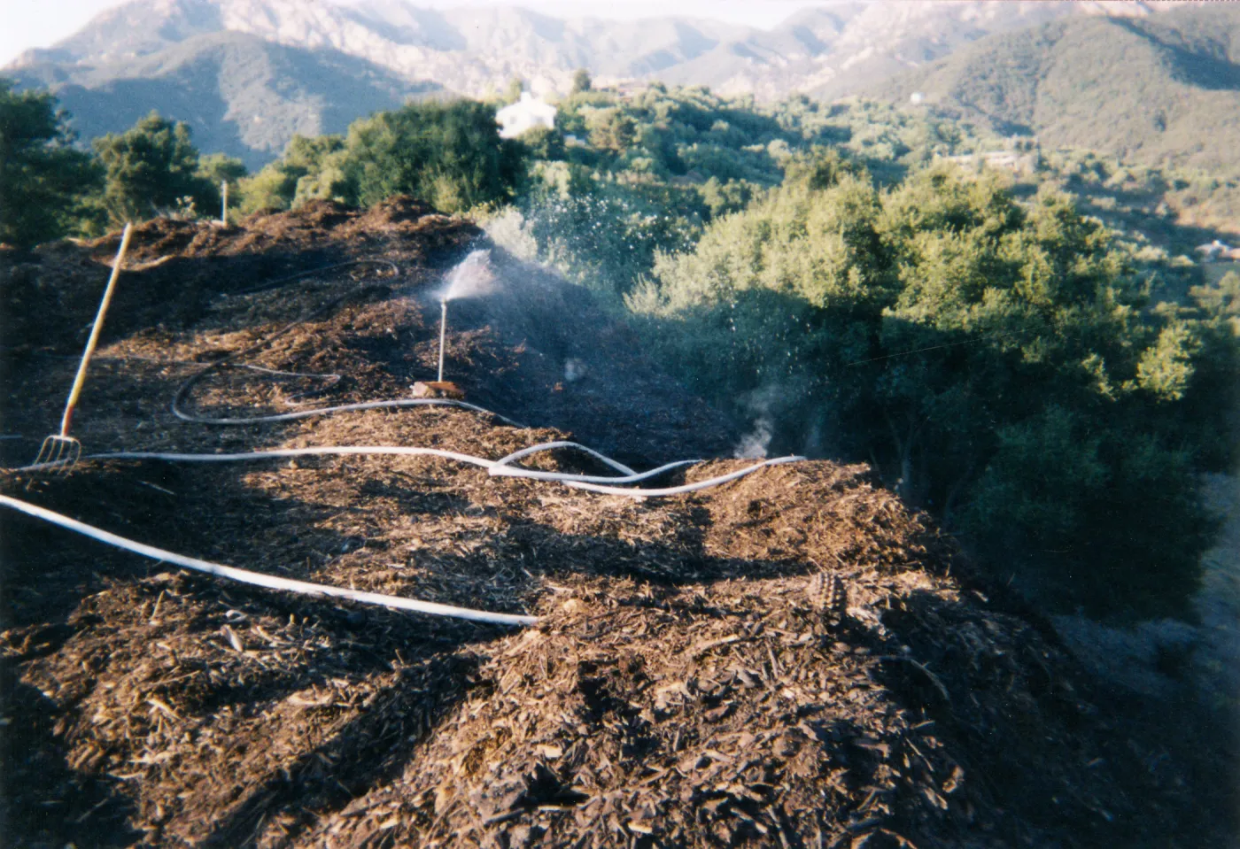 Mulch pile on ridge above Hort Unit that caught on fire and was removed