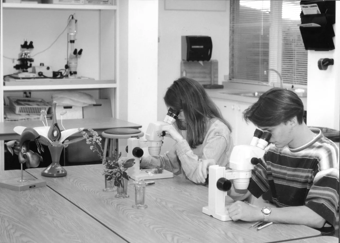 2014 AAM Accreditation Self-Study Documentation: Arroyo Room (the Garden's classroom)